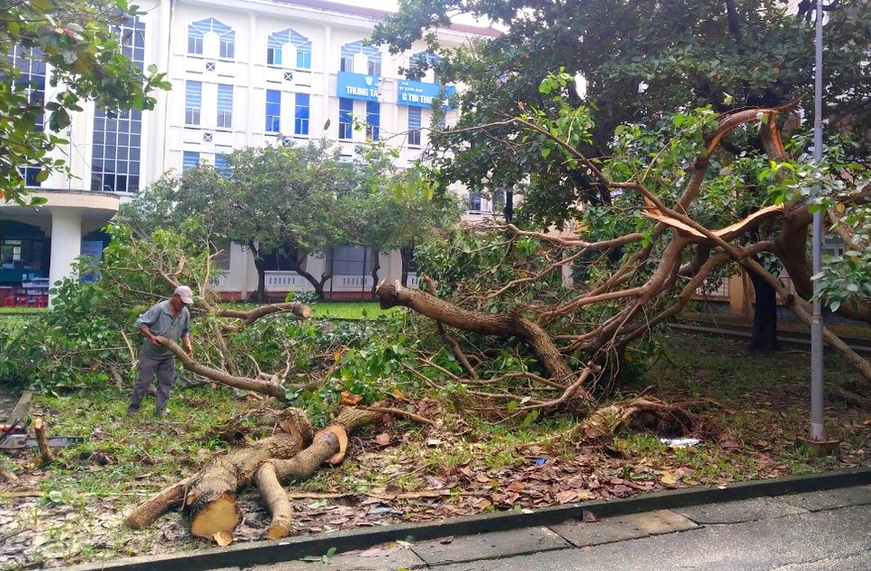 Bão lũ dồn dập, Đại học Huế thiệt hại nặng nề - 7