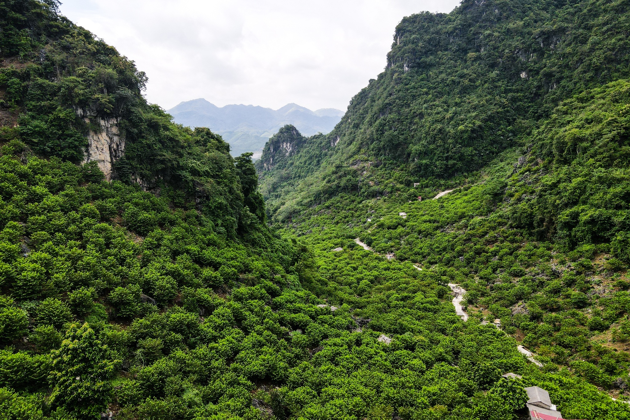 Cảnh những chuyến na “bay trên trời” ở Lạng Sơn - 21 Cảnh những chuyến na “bay trên trời” ở Lạng Sơn - 21