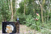 Vụ nổ súng cướp tiệm vàng ở Trà Vinh: Thu hơn 80 chỉ vàng tang vật