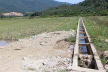 Vụ hàng chục tấn xi măng đông cứng: Dự án được tái khởi động