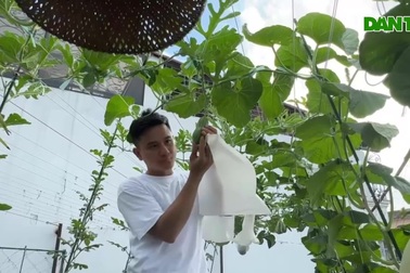 Làm vườn nuôi cá ở sân thượng, ông bố Hà Nội có thêm khoản "lương" 15 triệu