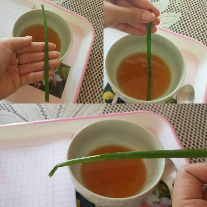 5 tuyệt chiêu phân biệt biết ngay mật ong thật giả mà bạn dễ dàng thực hiện tại nhà - Ảnh 4. 5 tuyệt chiêu phân biệt biết ngay mật ong thật giả mà bạn dễ dàng thực hiện tại nhà - Ảnh 4.