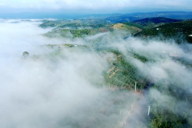 Nghiêm cấm chèo kéo khách "săn mây" tại khu vực Cầu Đất ở Đà Lạt