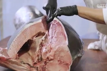 Chế biến sushi cá ngừ