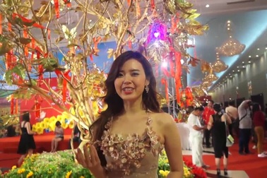 Diễn viên nổi tiếng chúc Tết độc giả