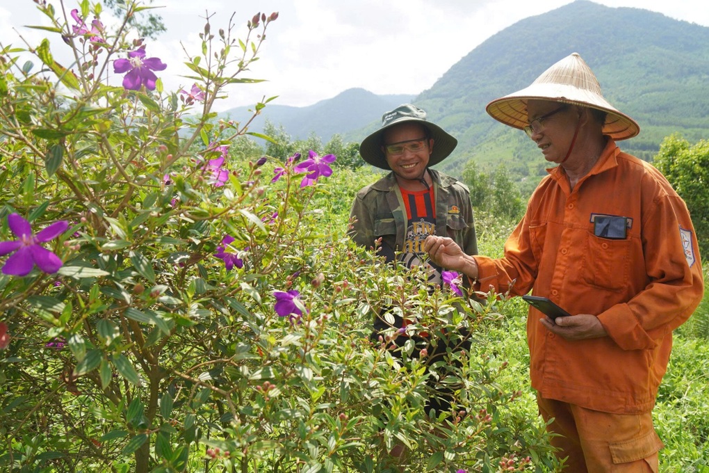 Lão nông ước trẻ lại 15 tuổi để khôi phục đồi cây gắn liền với tuổi thơ - 1