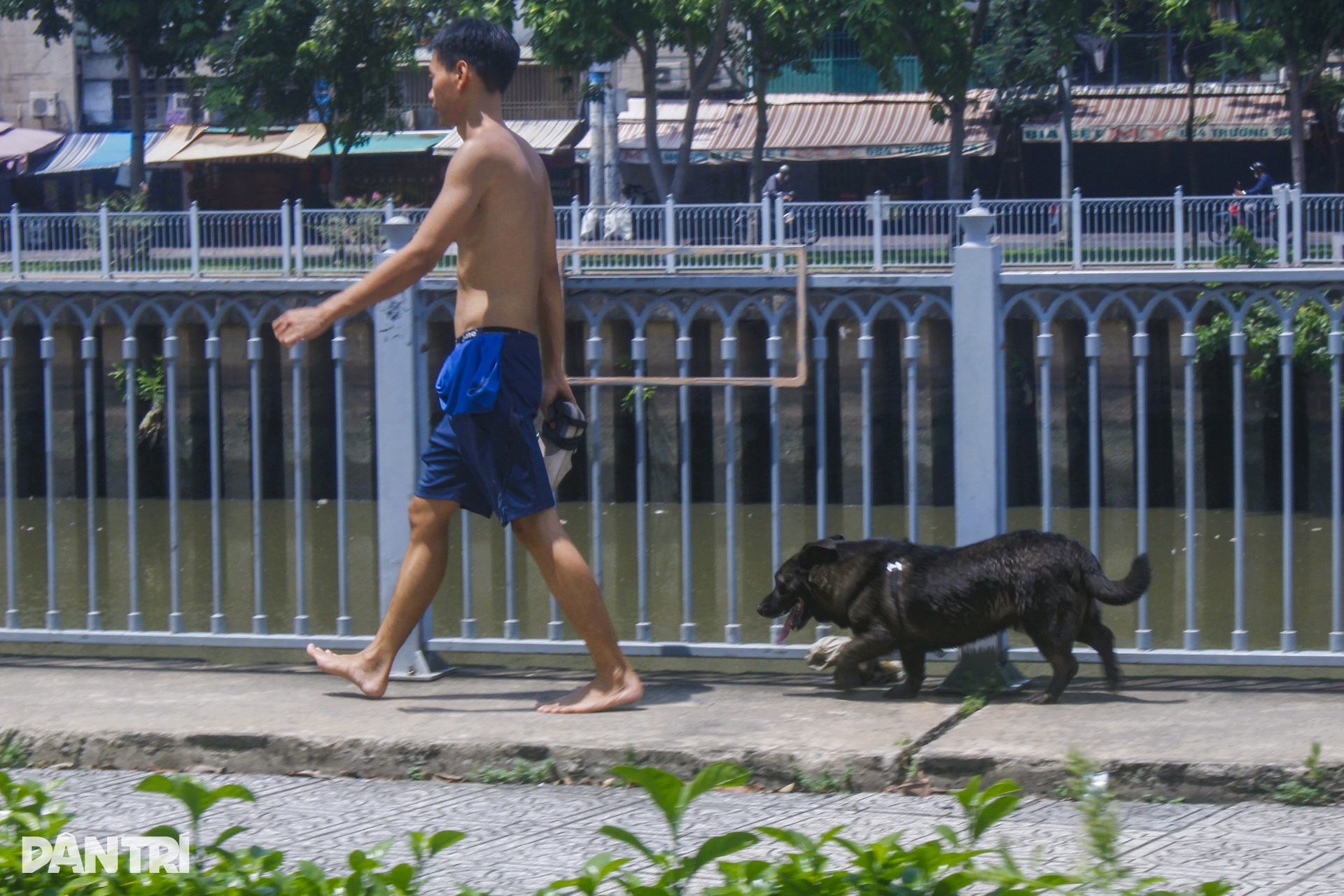 Nỗi ám ảnh từ chó không rọ mõm, phóng uế bừa bãi ở TPHCM - 9