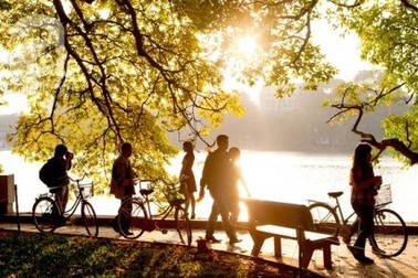 Heo may đã về trên phố…