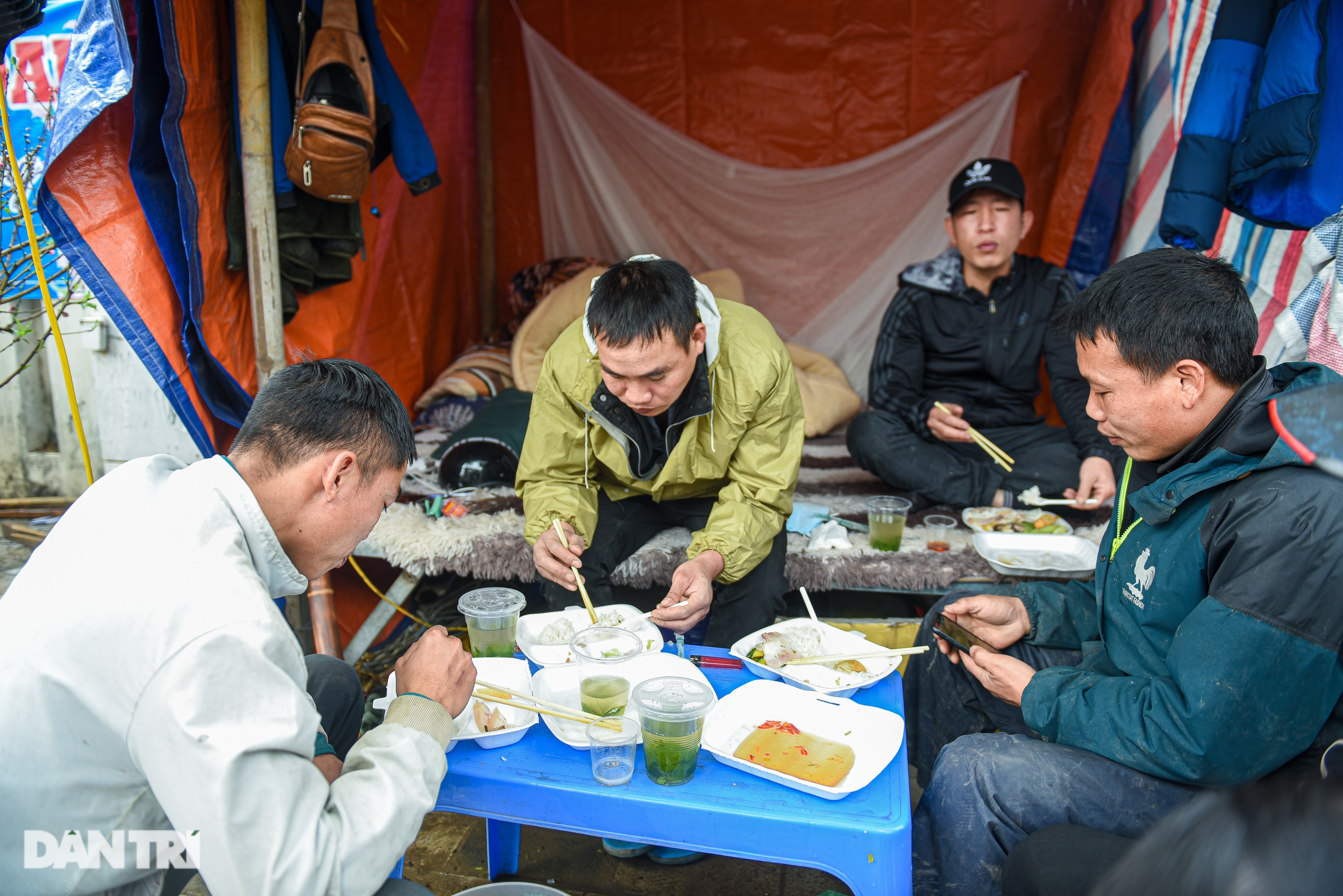 Chuyện chàng trai người Mông vượt 200 km mang đào xuống Thủ đô bán Tết - 1 Chuyện chàng trai người Mông vượt 200 km mang đào xuống Thủ đô bán Tết - 1