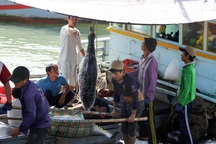 Hỗ trợ hơn 61 tỷ đồng giúp ngư dân vươn bám biển