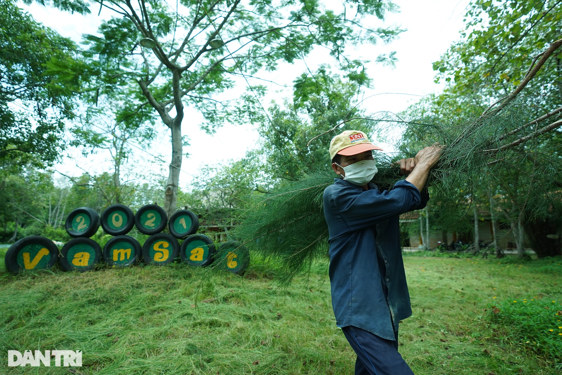 Nhiều điểm du lịch ở huyện đảo vùng xanh Cần Giờ chuẩn bị đón khách - 6