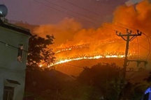 6ha rừng sản xuất ở Vĩnh Phúc cháy ngùn ngụt trong đêm