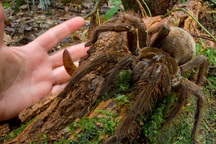 Mời bạn thử tài làm trắc nghiệm về kiến thức tổng hợp