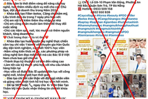 TPHCM: Đình chỉ một "Viện đào tạo thẩm mỹ quốc tế" trái phép