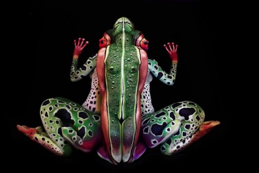 Tác phẩm ếch xanh nhiệt đới của họa sĩ Johannes Stoetter