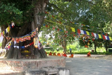 Tìm về nơi Đức Phật chào đời!