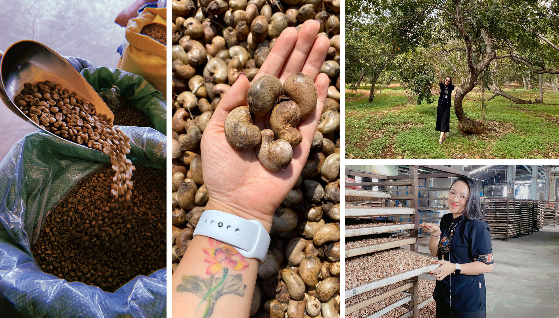 Từ nữ sinh ngủ ngày, cày đêm thành bà trùm chuỗi đồ uống sức khỏe - 11 Từ nữ sinh ngủ ngày, cày đêm thành bà trùm chuỗi đồ uống sức khỏe - 11