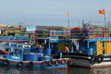 TPHCM định hướng phát triển khu vực Bà Rịa - Vũng Tàu thành thủ phủ kinh tế biển