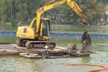 Dùng gầu máy vét bùn hồ Gươm: Lo cho môi trường sống của cụ Rùa