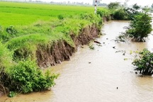 Sạt lở ở Bạc Liêu: “Tan nát” bờ kênh quê!