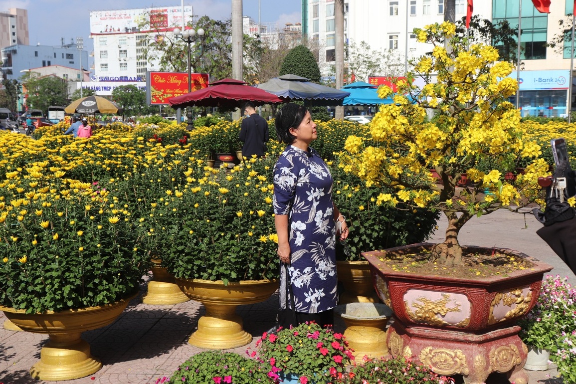 Sắc xuân rực rỡ phố Huế - 7 Sắc xuân rực rỡ phố Huế - 7