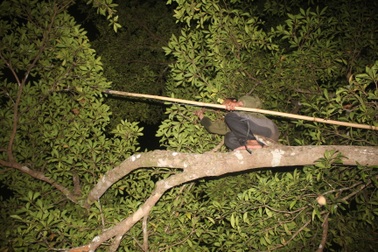 Gia Lai: Kỳ thú trải nghiệm thác Trăn trong rừng sâu