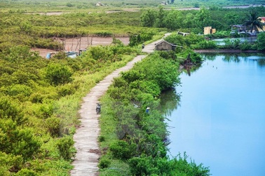 Trải nghiệm vẻ hoang sơ của sông nước ngập mặn ngay gần Thủ đô