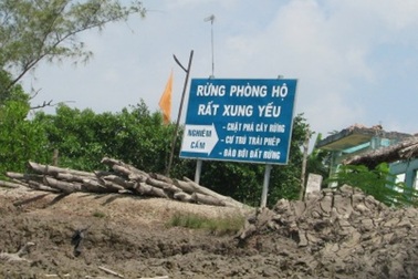 Xử lý tập thể, cá nhân để rừng bị chặt trái phép tại VQG Mũi Cà mau