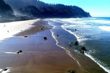 Bí ẩn về “khu rừng ma” 2000 năm tuổi đột nhiên nổi lên trên mặt biển