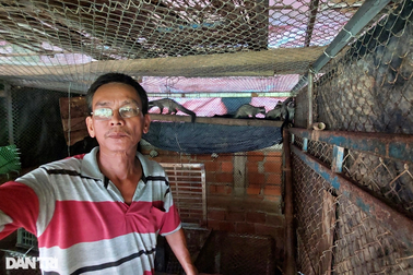 Nuôi chồn hương kết hợp với... cá trê, thu lãi trăm triệu mỗi năm