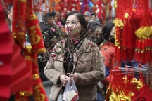 Sôi động phiên chợ hoa họp chỉ duy nhất một lần trong năm