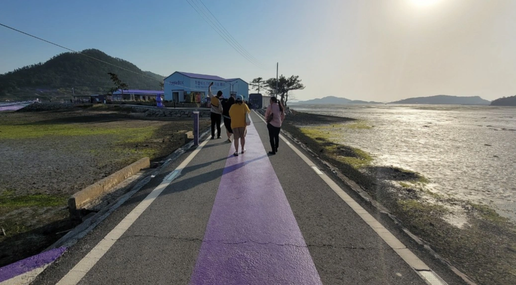 Lạ lùng hòn đảo tím gây sốt ở Hàn Quốc - 5 Lạ lùng hòn đảo tím gây sốt ở Hàn Quốc - 5