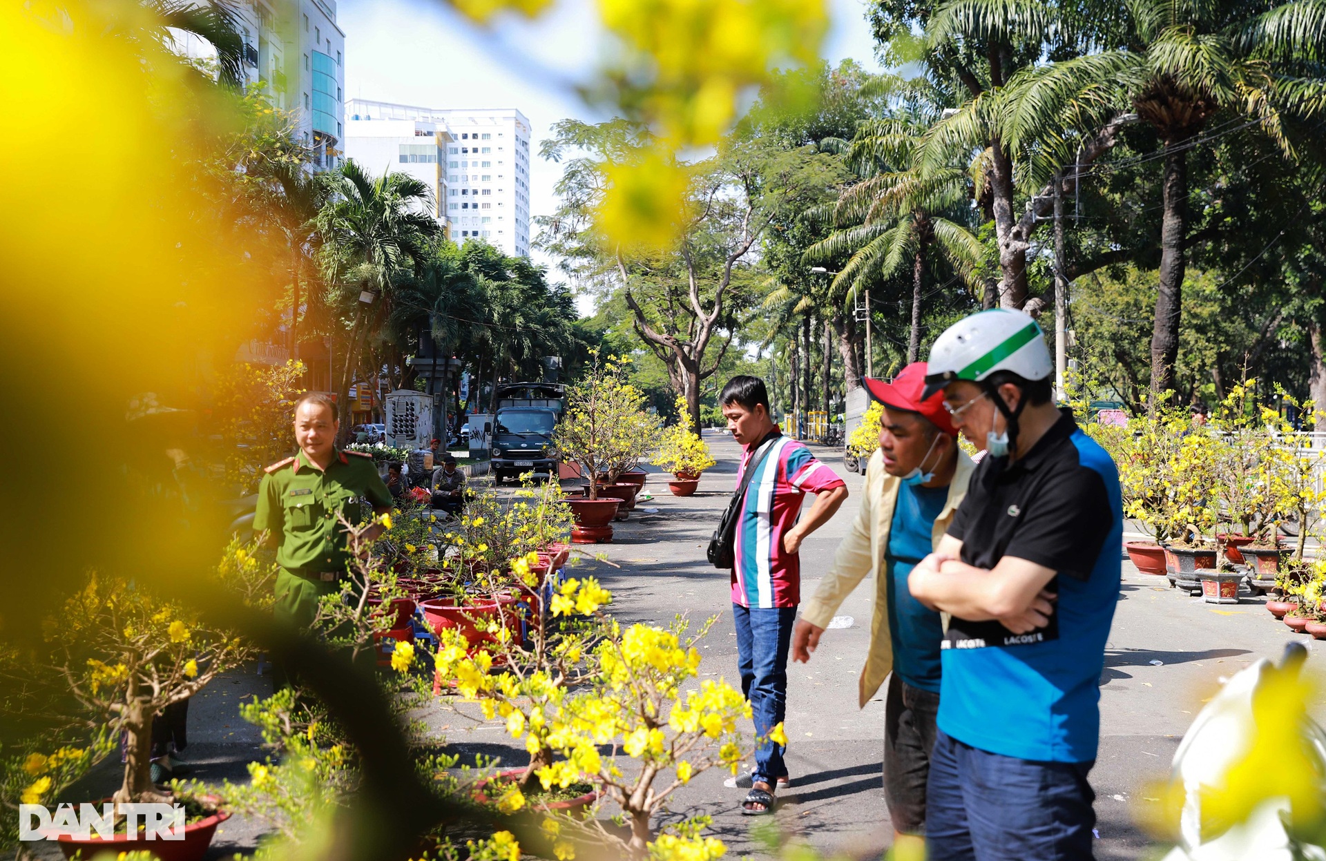 Tiểu thương đập bỏ cây kiểng chiều 30 Tết vì bị ép giá - 1 Tiểu thương đập bỏ cây kiểng chiều 30 Tết vì bị ép giá - 1