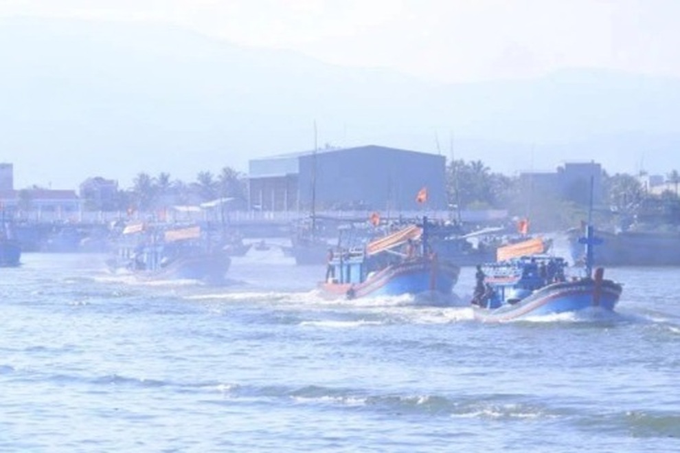 Nỗ lực gỡ thẻ vàng ở Bình Định - 2 Nỗ lực gỡ thẻ vàng ở Bình Định - 2