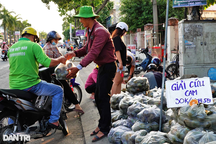 Cú "lội ngược dòng" của cam sành Vĩnh Long sau một tuần giải cứu