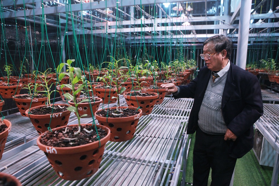 Lặng ngắm giàn lan đột biến khủng được làm từ 30 tấn thép trên sân thượng - 7 Lặng ngắm giàn lan đột biến khủng được làm từ 30 tấn thép trên sân thượng - 7