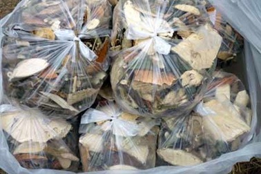 Muốn sớm có con, uống quàng thuốc độc 