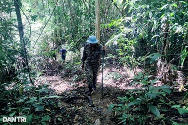 Vụ gần 150m3 gỗ bị đốn hạ: Lâm tặc trà trộn với người đi nương rẫy?