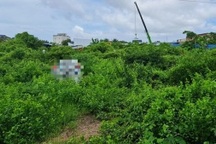 Cà Mau hủy 4 quyết định vụ đấu giá khu đất chưa “sạch”