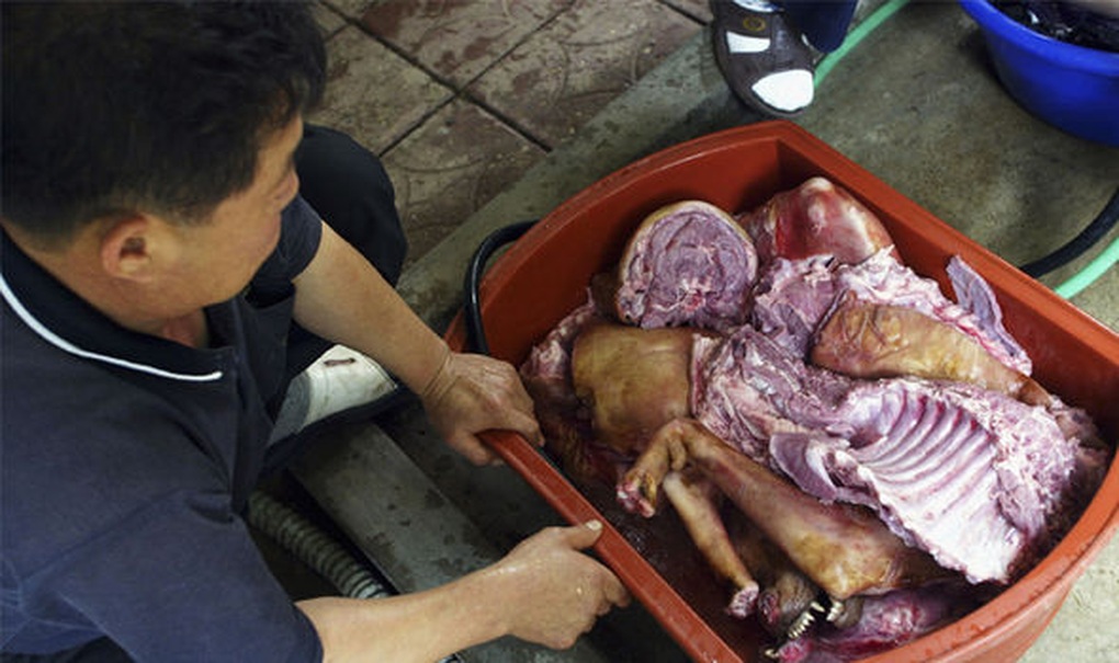 Tranh cãi nảy lửa về ăn thịt chó: Giới trẻ Hàn bảo không, người già nói có - 2 Tranh cãi nảy lửa về ăn thịt chó: Giới trẻ Hàn bảo không, người già nói có - 2