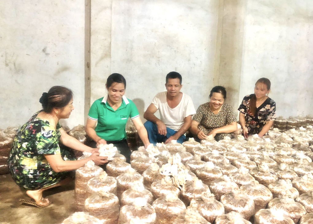 Đồng bào dân tộc ở Cao Bằng được học nghề để phát triển kinh tế - 1 Đồng bào dân tộc ở Cao Bằng được học nghề để phát triển kinh tế - 1