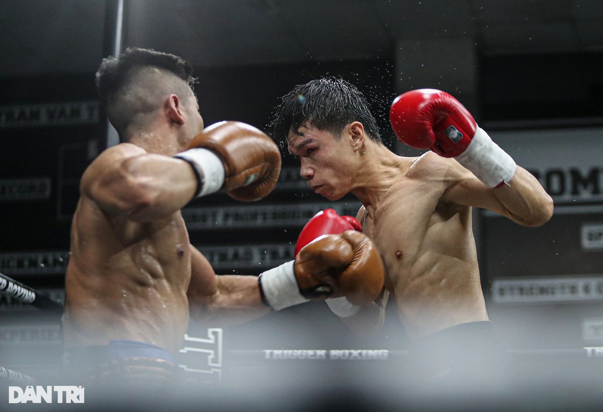 Nhà vô địch WBC châu Á Trần Văn Thảo hạ knock-out tay đấm Thái Lan - 5 Nhà vô địch WBC châu Á Trần Văn Thảo hạ knock-out tay đấm Thái Lan - 5
