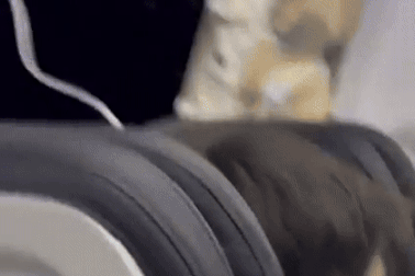 Khách gốc Việt sốc khi máy bay bung cửa trên cao, điện thoại bị xé toạc