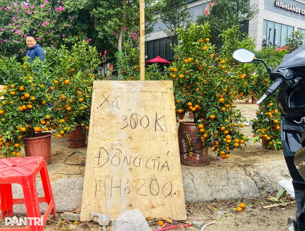 Người dân chiều 30 Tết mới đổ xô đi mua đào, quất, vì sao lại thế? - 1