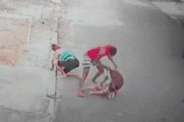 Clip: Chàng thanh niên dũng cảm cứu bé trai bị chó tấn công