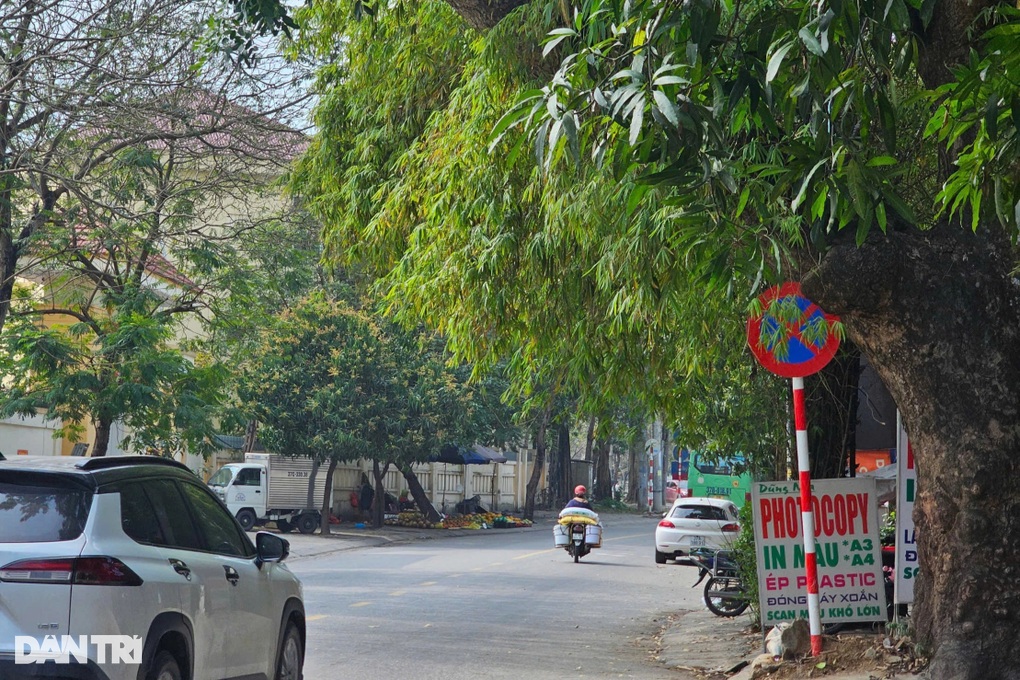 Những biển báo giao thông ẩn nấp, thách thức người đi đường - 3 Những biển báo giao thông ẩn nấp, thách thức người đi đường - 3