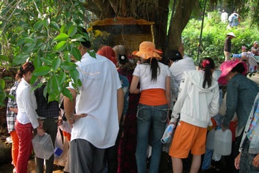 Đà Nẵng: “Nước thánh” bị nhiễm khuẩn nặng