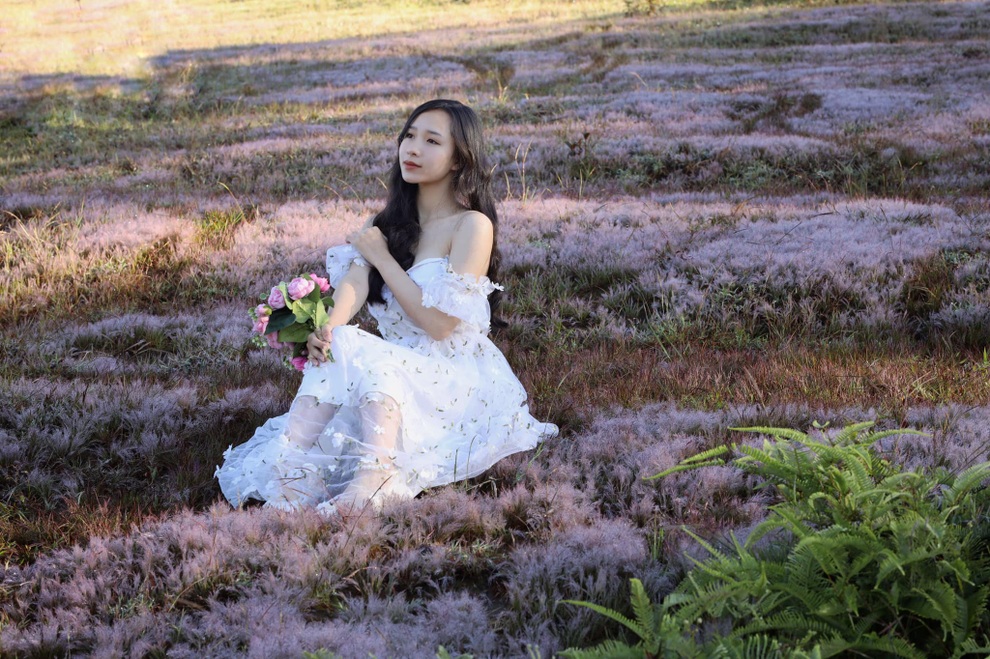 Đồi cỏ hồng trong sương sớm đẹp như trời Âu ở thành phố ngàn hoa - 6 Đồi cỏ hồng trong sương sớm đẹp như trời Âu ở thành phố ngàn hoa - 6