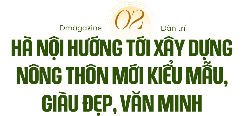 Người phụ nữ phá nhà, hiến 440m2 đất làm đường nông thôn mới - 7