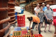 Vì sao Vinastas gỡ thông tin khảo sát nước mắm trên website?